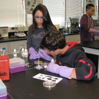 Junior Tyee Stokman and Jazlyn Samaniego work on a lab in Biotech 1-2. (Annika Ulrich)