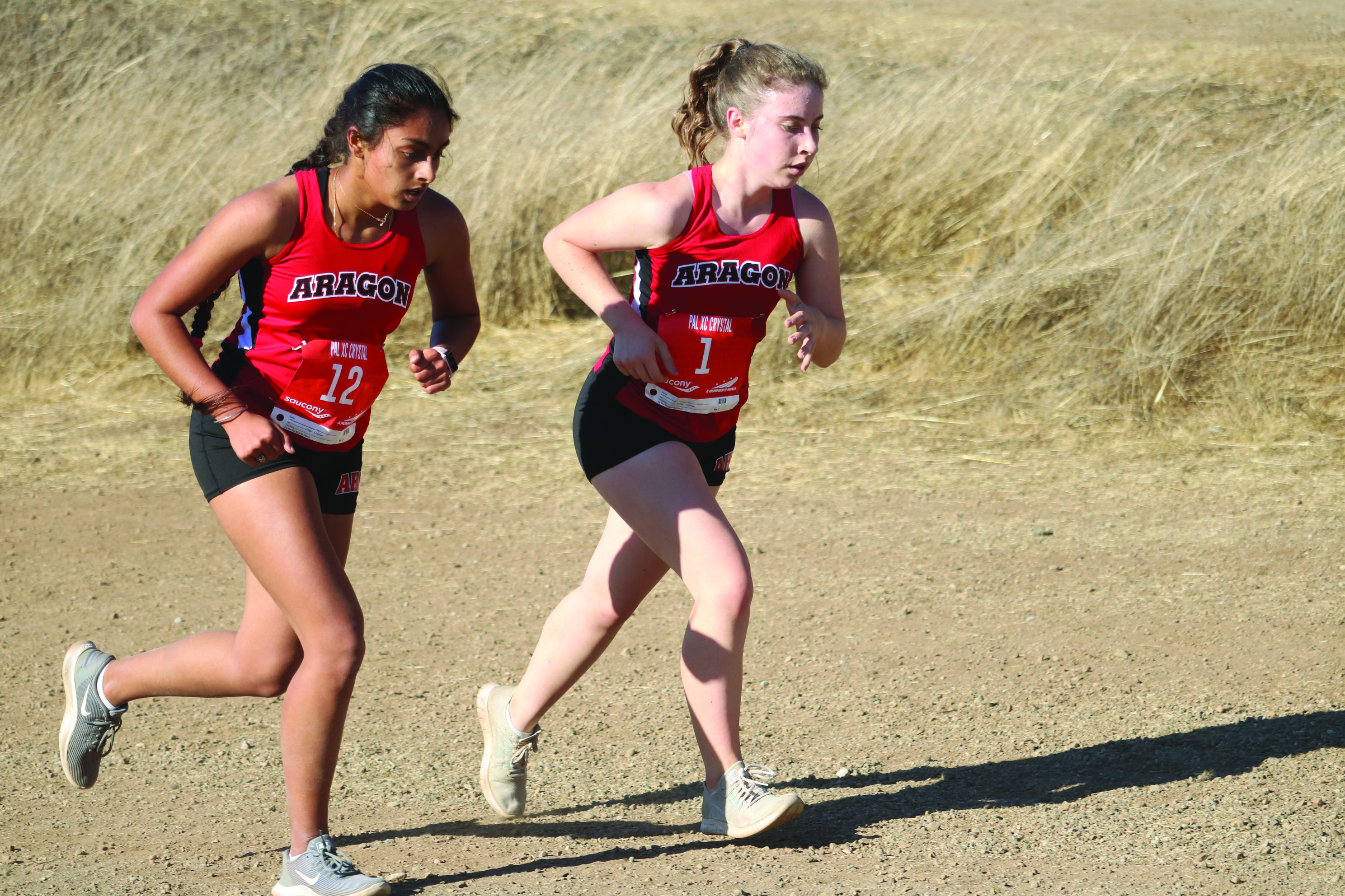 The Dons set 23 new records at the third Peninsula Athletic League Meet at the Crystal Spring course.