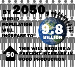 Infographic with data about population and food needed to accommodate for the increase in population.
