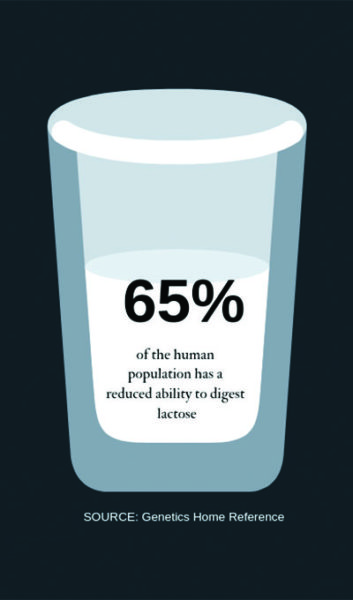 Infographic of a glass of milk that says "65% of the human population has a reduced ability to digest lactose"