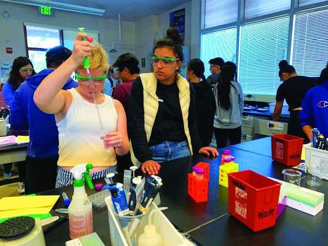 Students apply skills they learned in their last Biotech class.